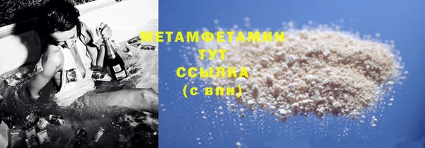 прущие грибы Белокуриха