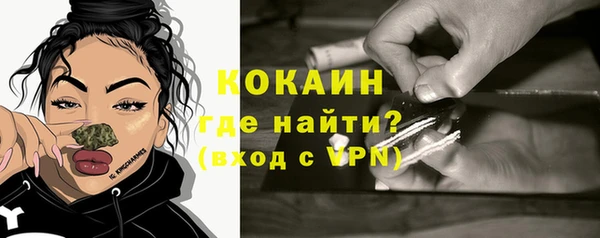 прущие грибы Белокуриха