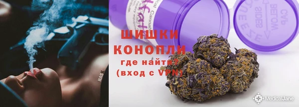 прущие грибы Белокуриха