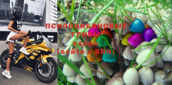 дживик Богородицк