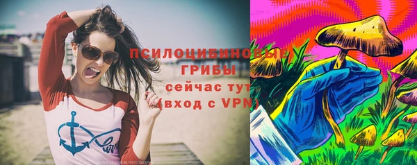 прущие грибы Богородск