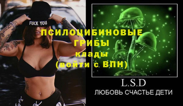 гашик Белоозёрский