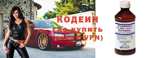 прущие грибы Белокуриха
