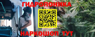 сатива Ангарск