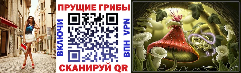 Галлюциногенные грибы мухоморы  Великий Устюг 
